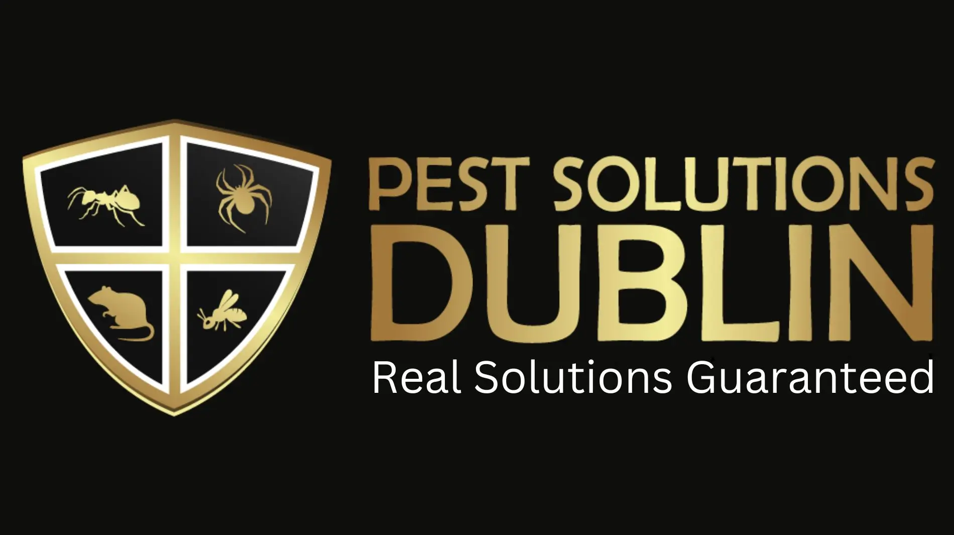 Pest Control Dublin - pest solutions Dublin